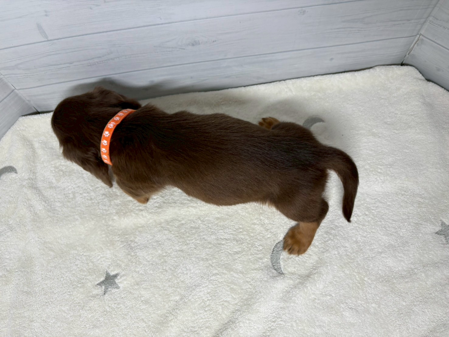 赤ちゃん写真3-3