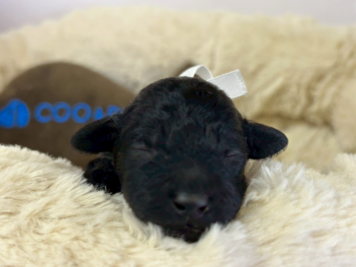 赤ちゃん写真1-1