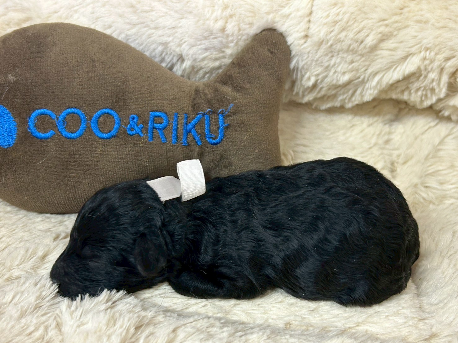 赤ちゃん写真1-2