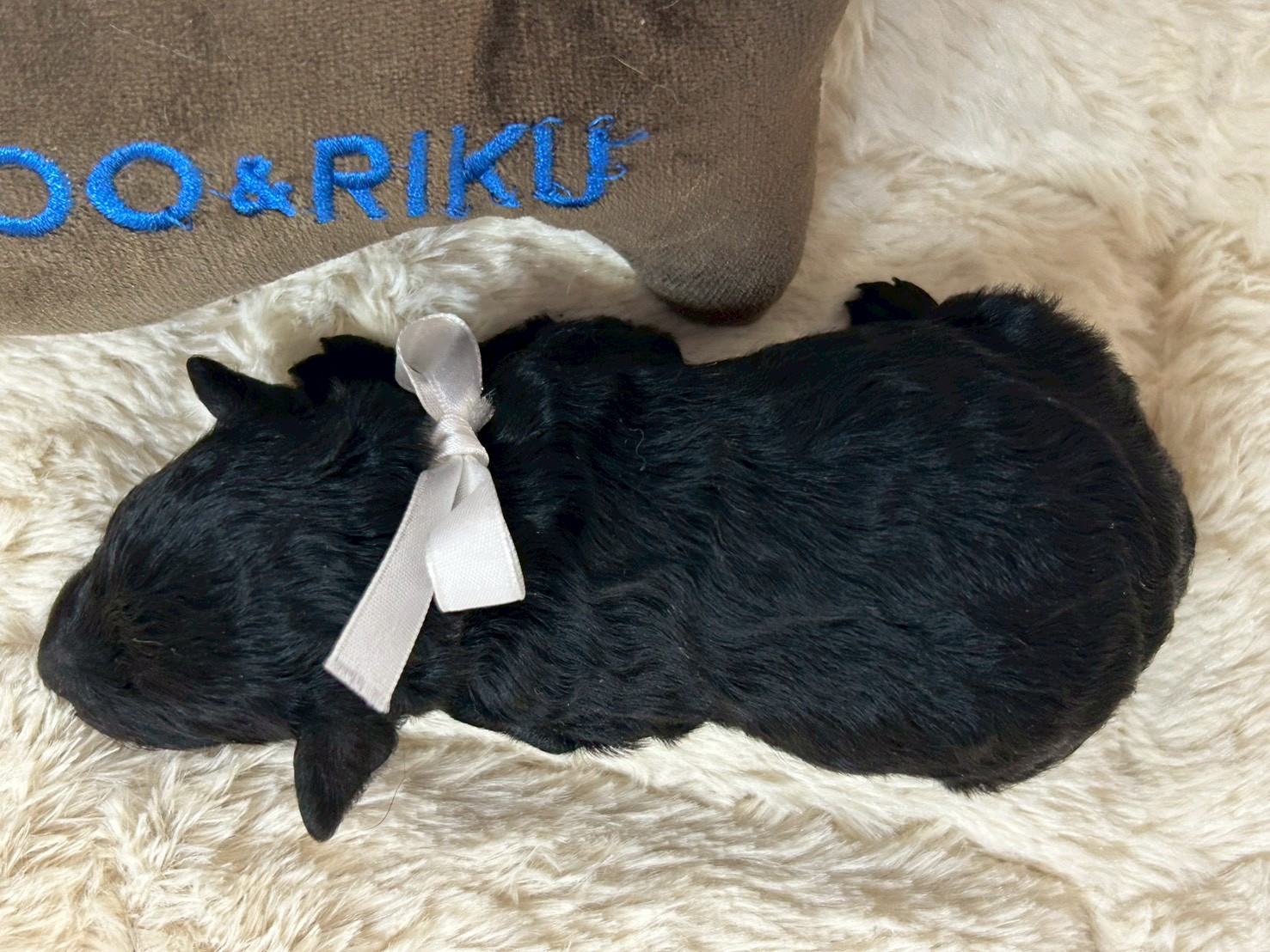 赤ちゃん写真1-3