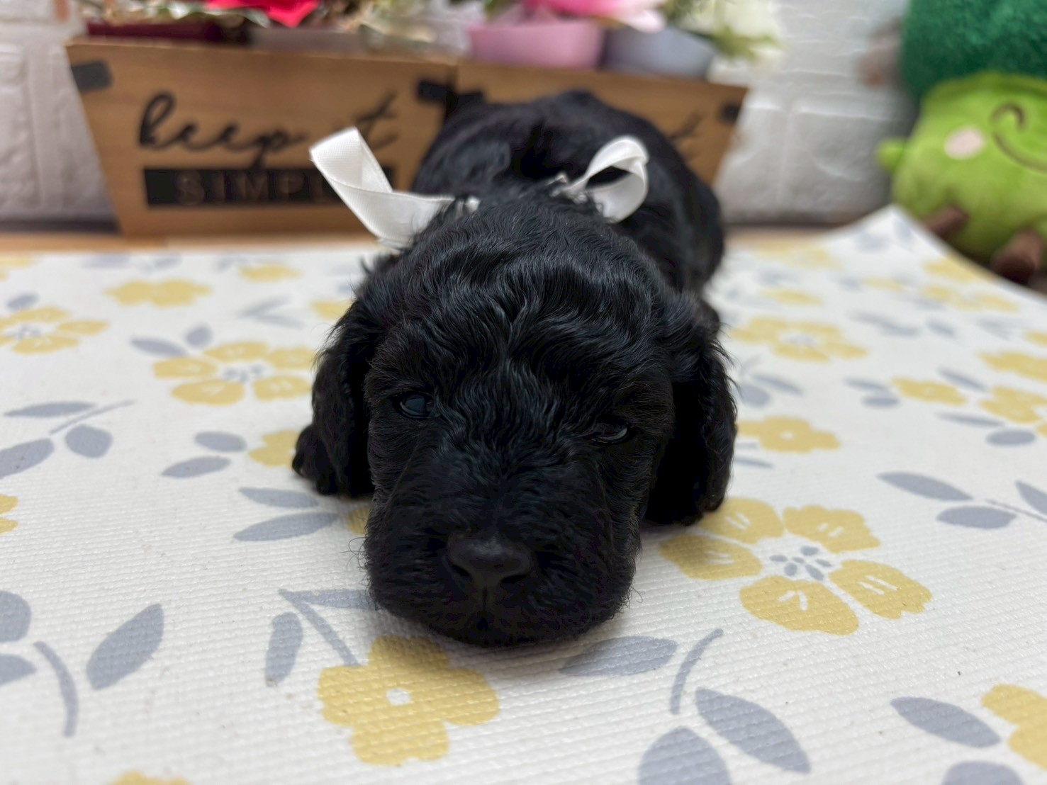 赤ちゃん写真2-1