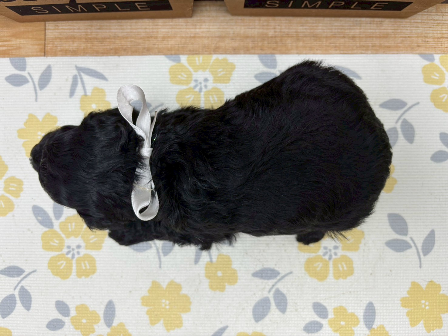 赤ちゃん写真2-3