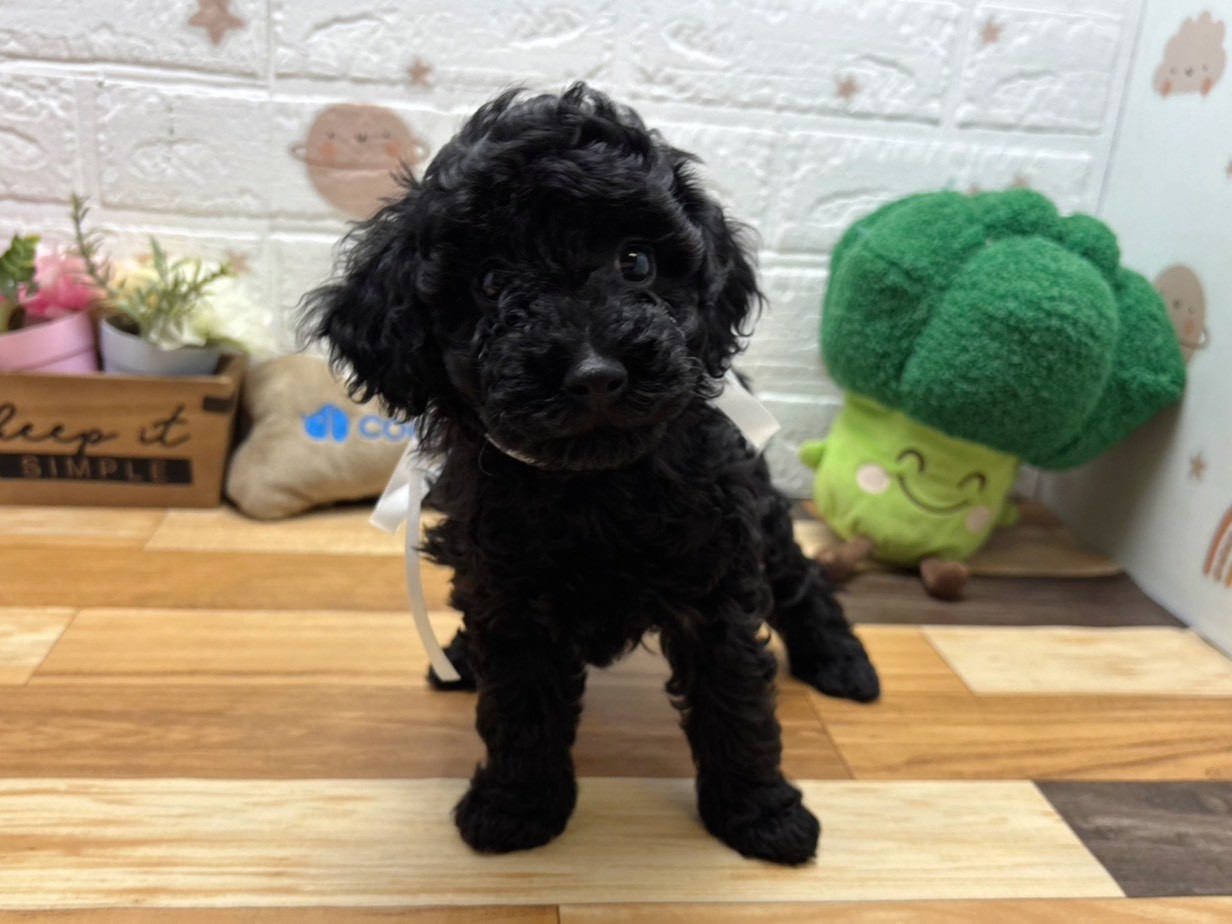 赤ちゃん写真3-1