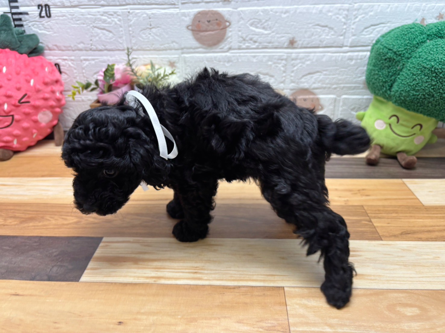 赤ちゃん写真3-2