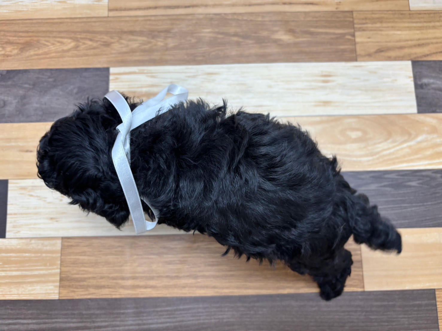 赤ちゃん写真3-3