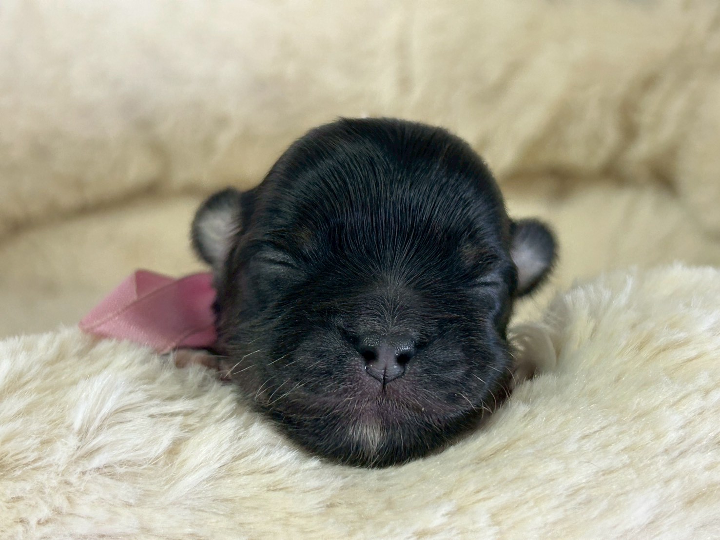 赤ちゃん写真1-1