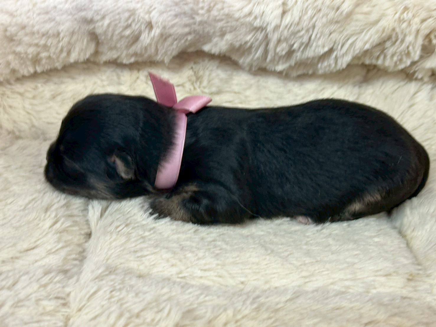 赤ちゃん写真1-2