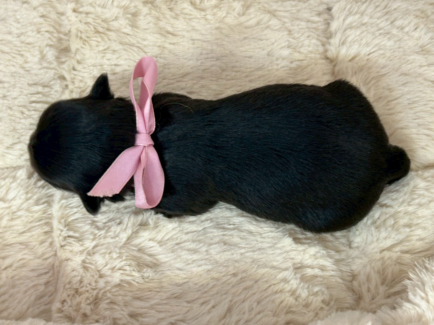 赤ちゃん写真1-3