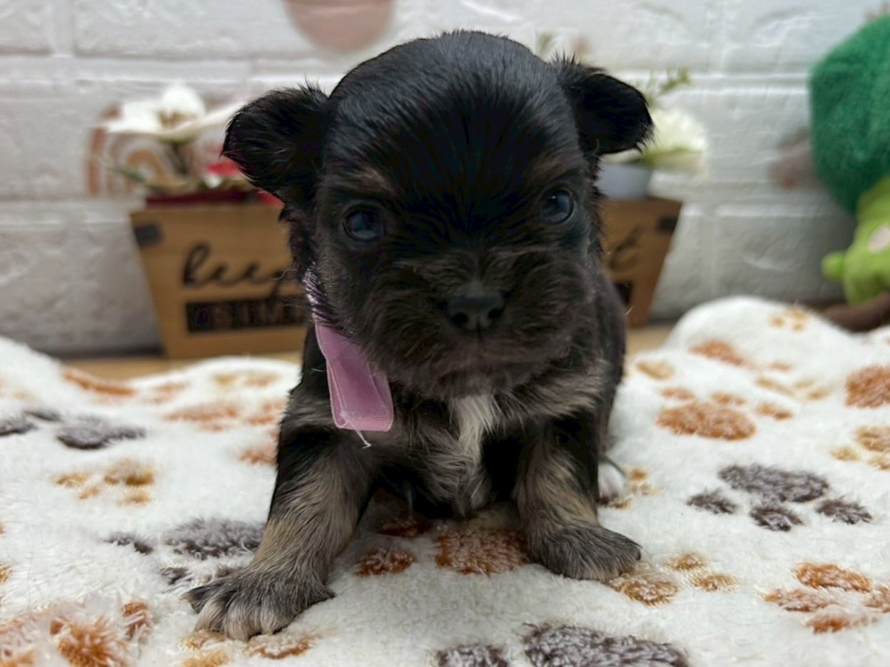 赤ちゃん写真2-1