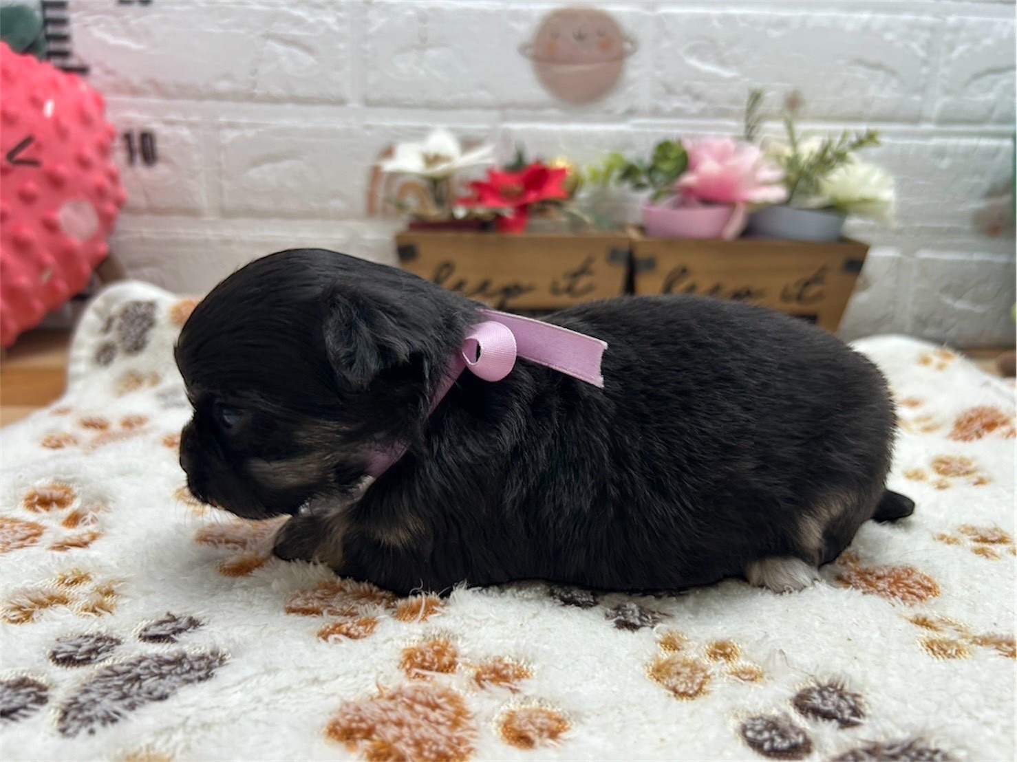 赤ちゃん写真2-2