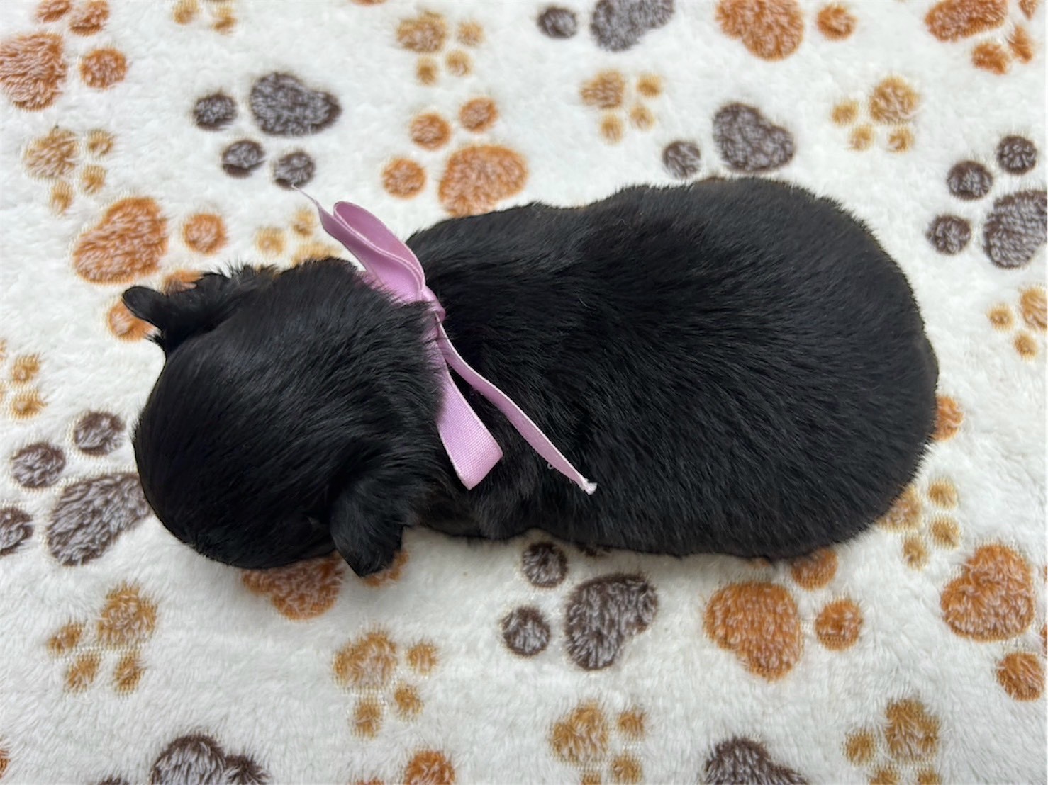 赤ちゃん写真2-3