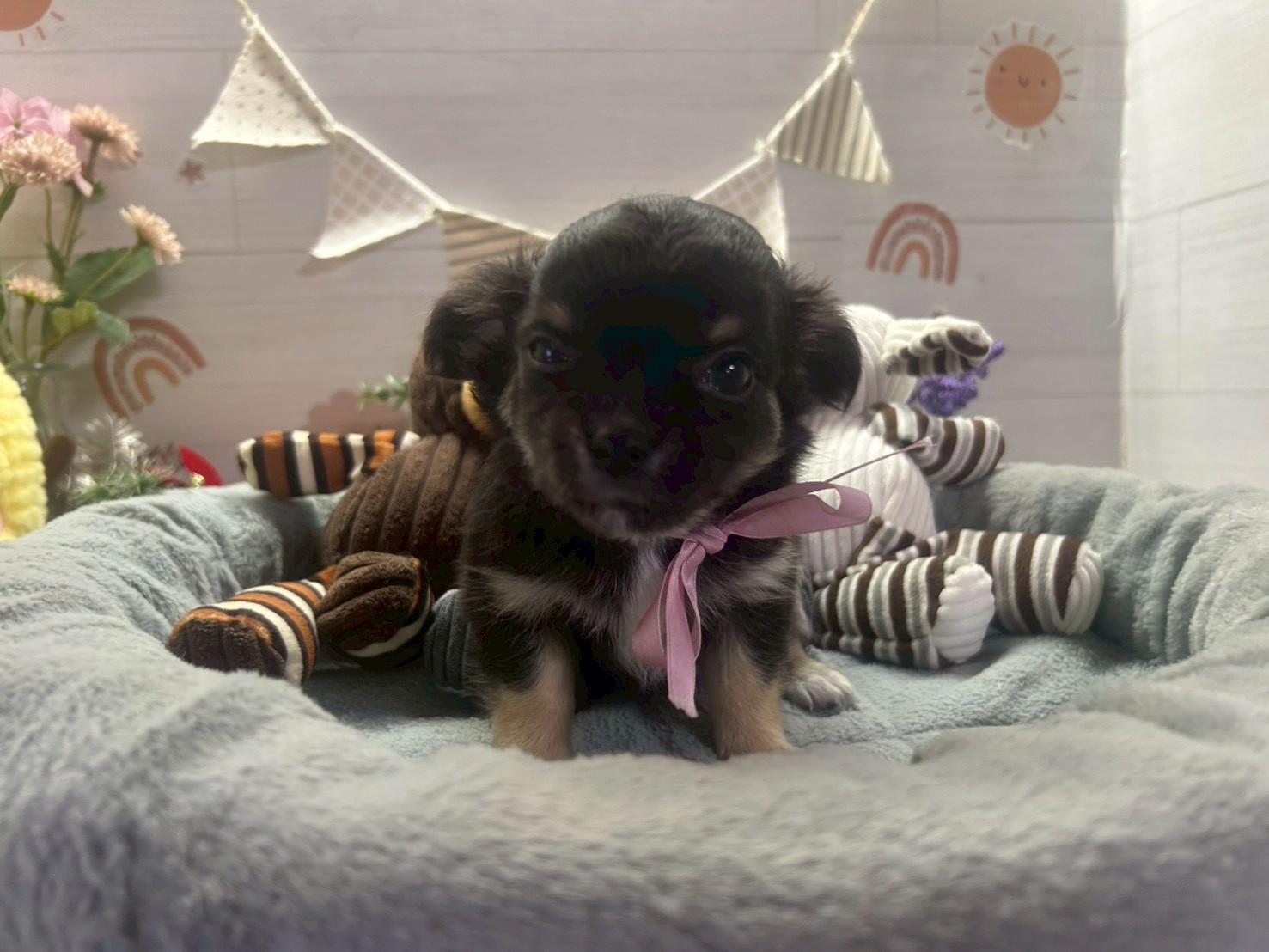 赤ちゃん写真3-1