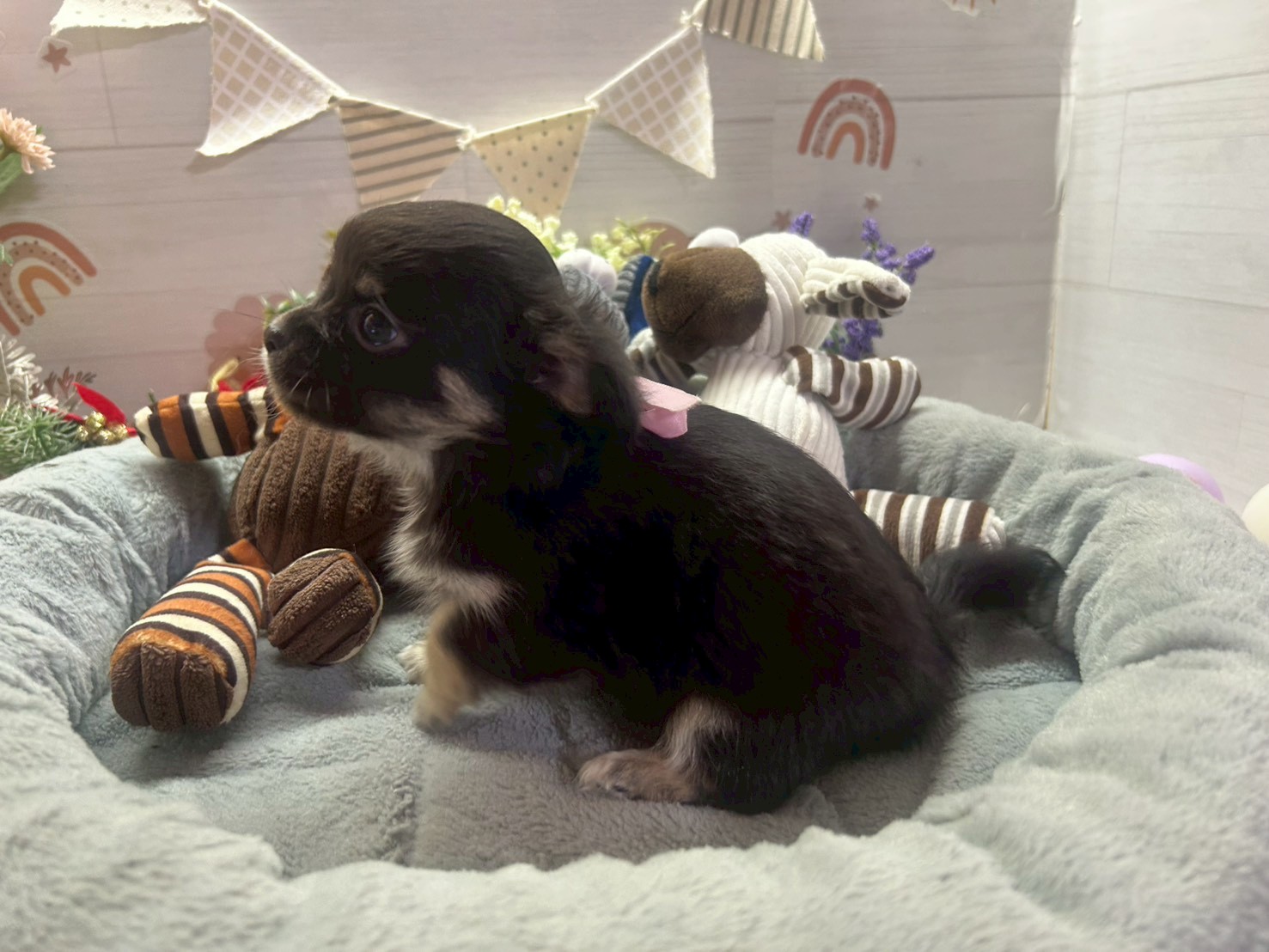 赤ちゃん写真3-2