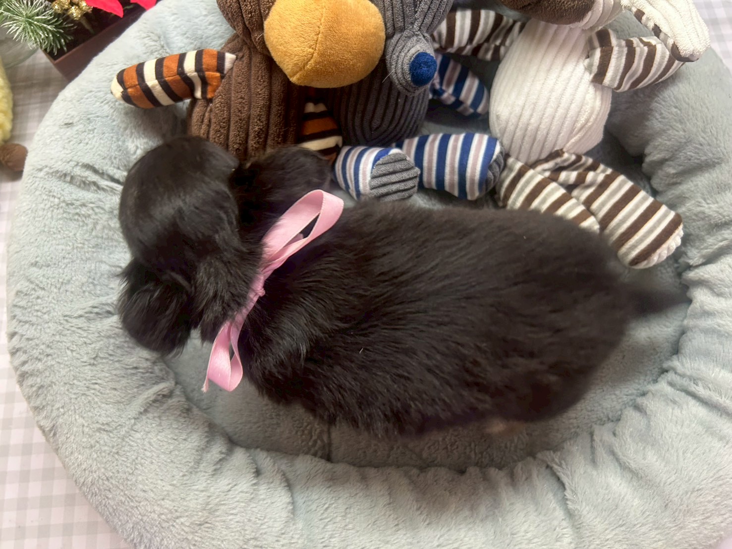 赤ちゃん写真3-3