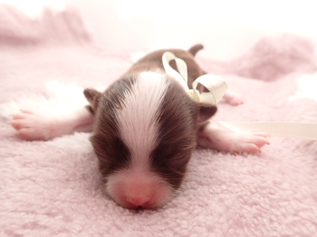 赤ちゃん写真1-1