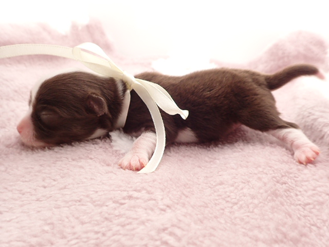 赤ちゃん写真1-2