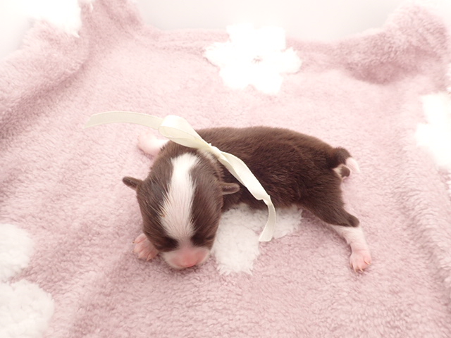 赤ちゃん写真1-3