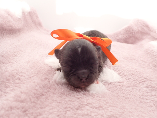 赤ちゃん写真1-1