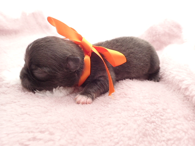 赤ちゃん写真1-2