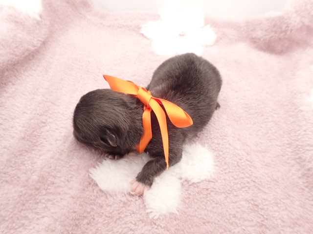 赤ちゃん写真1-3