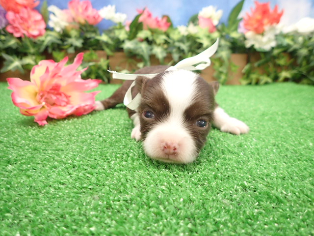 赤ちゃん写真2-1