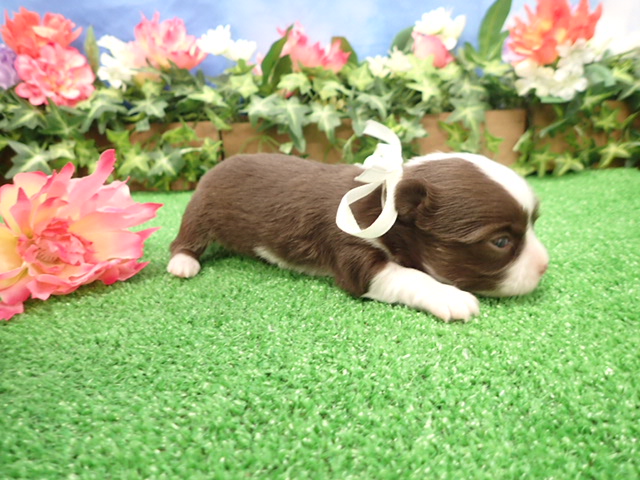 赤ちゃん写真2-2