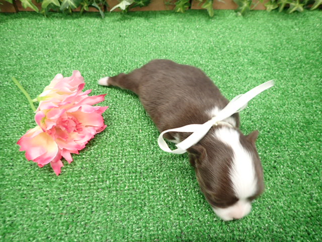 赤ちゃん写真2-3