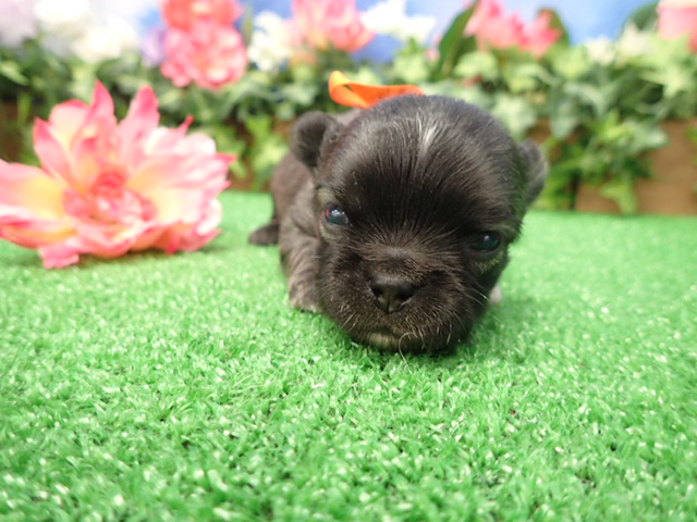 赤ちゃん写真2-1