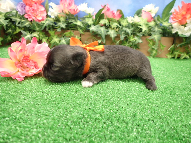 赤ちゃん写真2-2