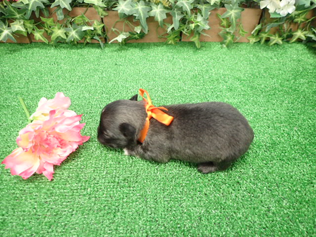 赤ちゃん写真2-3