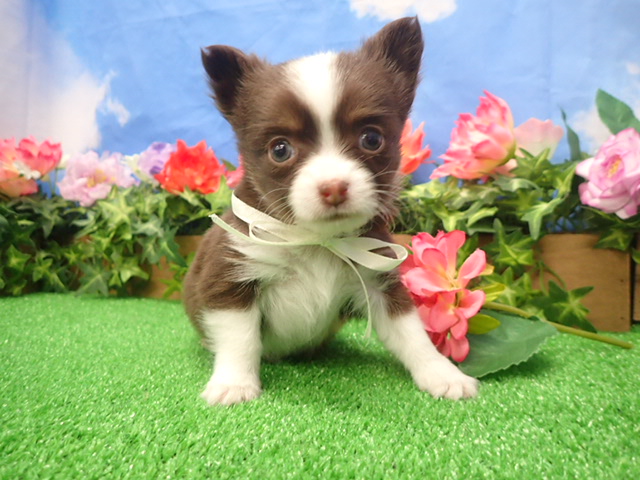 赤ちゃん写真3-1