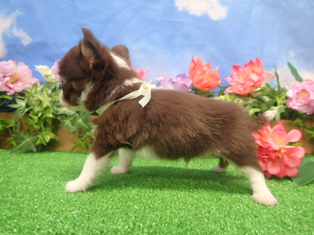 赤ちゃん写真3-2