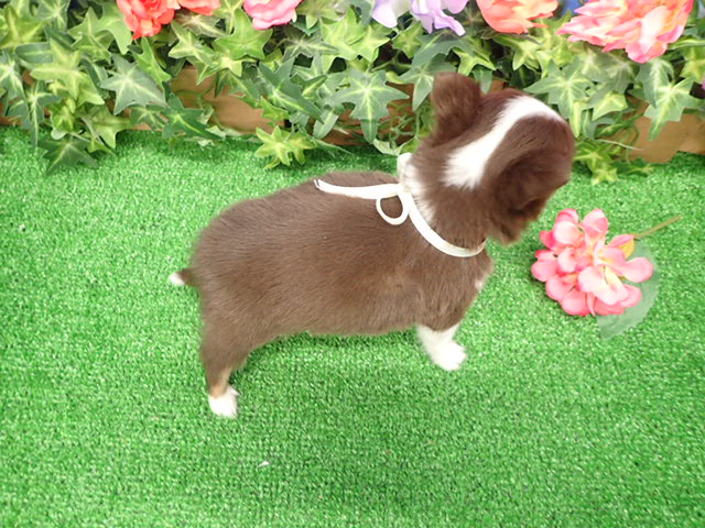 赤ちゃん写真3-3