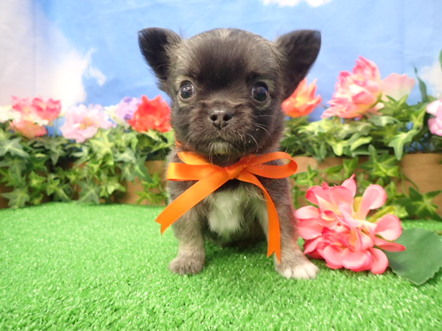 赤ちゃん写真3-1