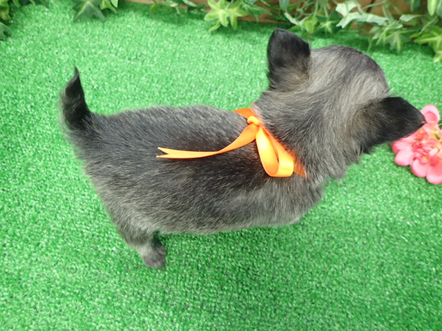 赤ちゃん写真3-3