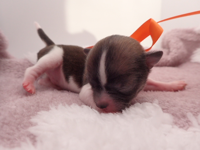 赤ちゃん写真1-1