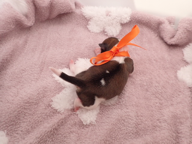 赤ちゃん写真1-3