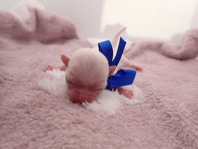 赤ちゃん写真1-1