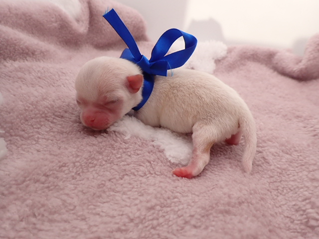 赤ちゃん写真1-2