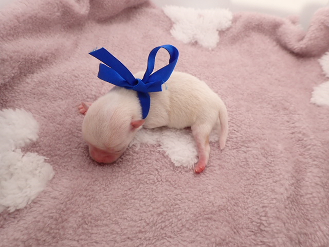 赤ちゃん写真1-3