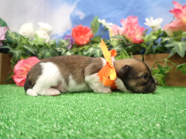 赤ちゃん写真2-2