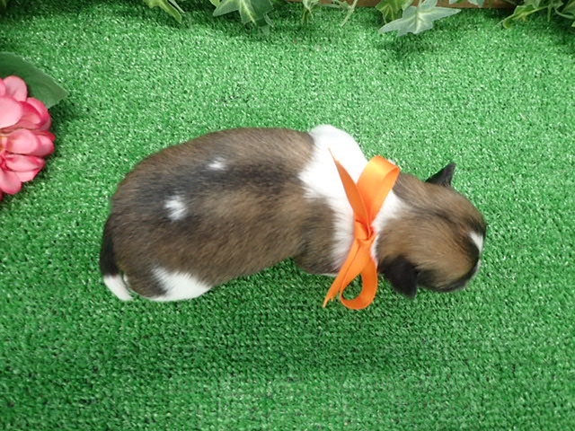 赤ちゃん写真2-3