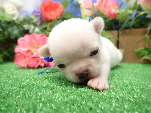 赤ちゃん写真2-1