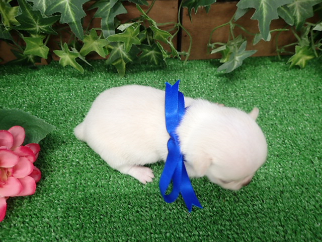 赤ちゃん写真2-3