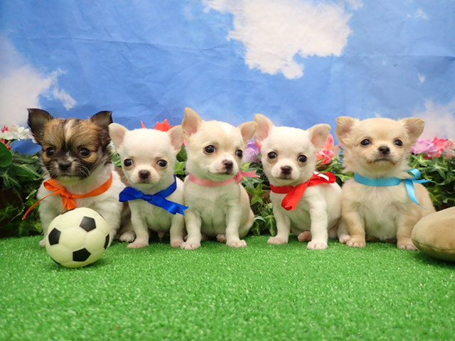 赤ちゃん写真3-3