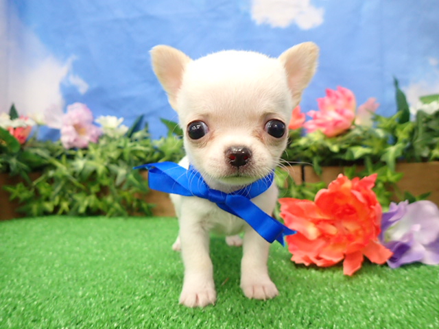 赤ちゃん写真3-1