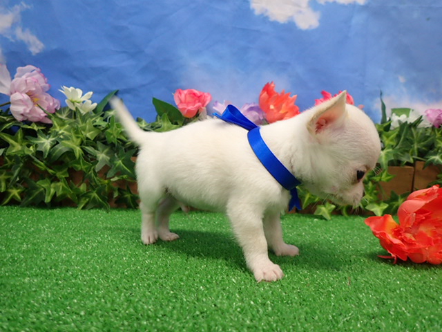 赤ちゃん写真3-2