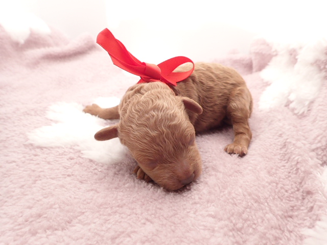 赤ちゃん写真1-1