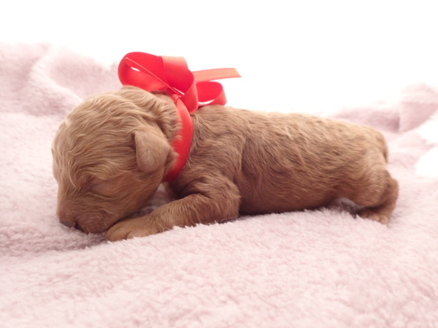 赤ちゃん写真1-2