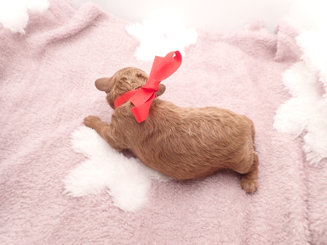 赤ちゃん写真1-3